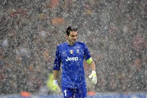 国际马拉松赛事报名最新情况，国际马拉松赛跑赛程