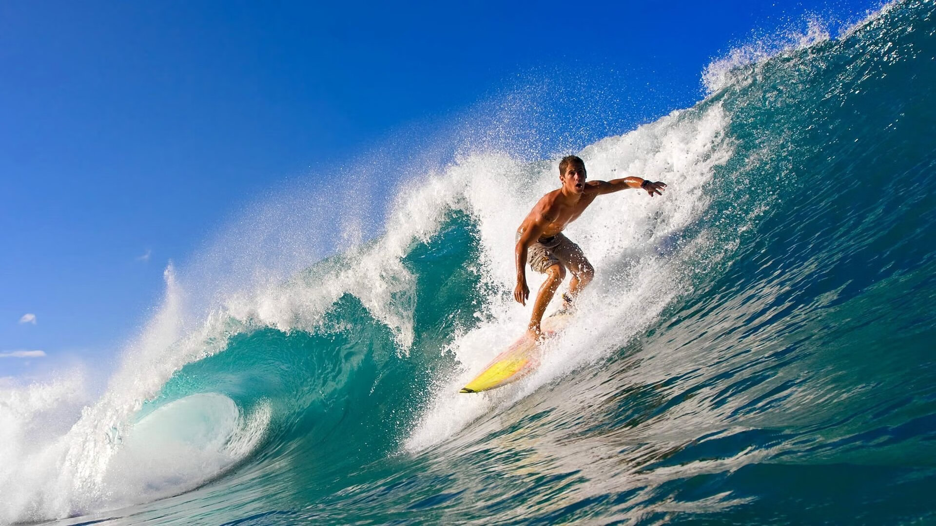 田径短跑项目人才储备计划实施，田径短跑训练计划